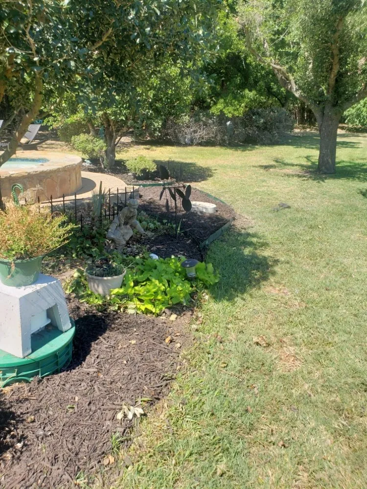 Trusted yard cleanup service in Forney, TX - All Trees and All Drains