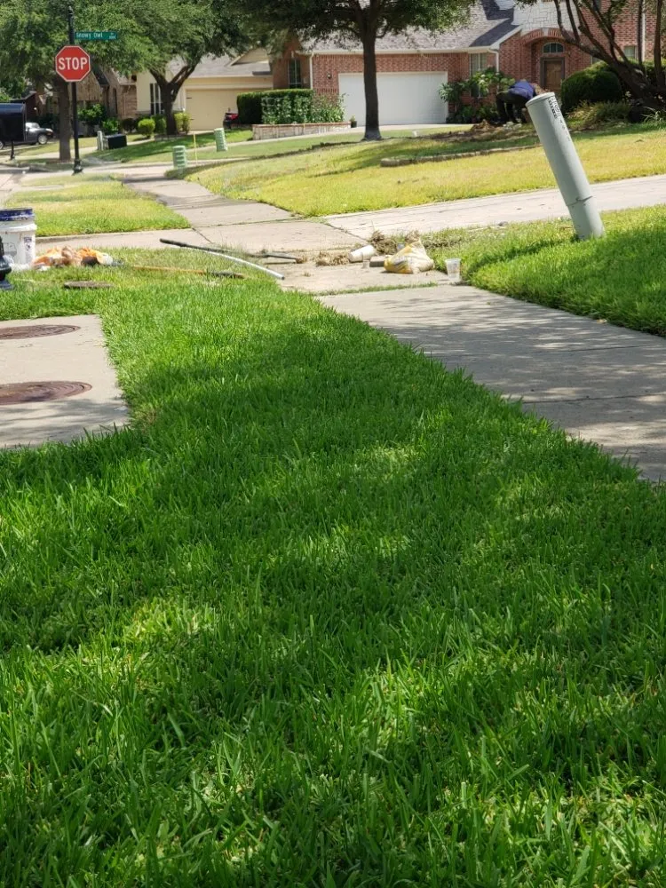 Expert yard cleanup service near you in Forney, TX by All Trees and All Drains