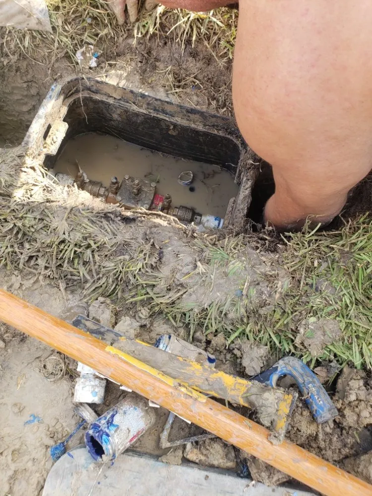 Local landscape installation experts serving Forney, TX - All Trees and All Drains