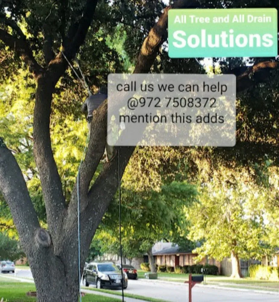 Top-rated garden landscaping in Forney, TX by All Trees and All Drains