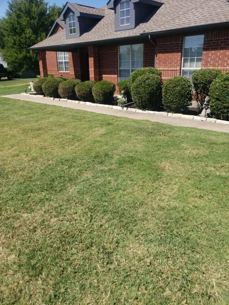 Expert yard maintenance in Forney, TX by All Trees and All Drains