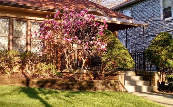 All Turf & Terra Logo