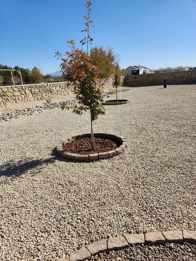 Trusted yard maintenance with custom design in Las Cruces, NM by All Turf