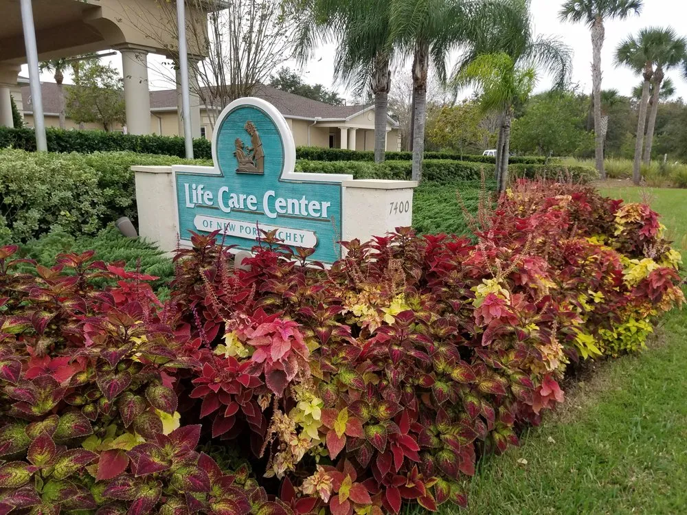 Trusted landscape design with custom design in Port Richey, FL by All Turf Lawn & Landscape Maintenance