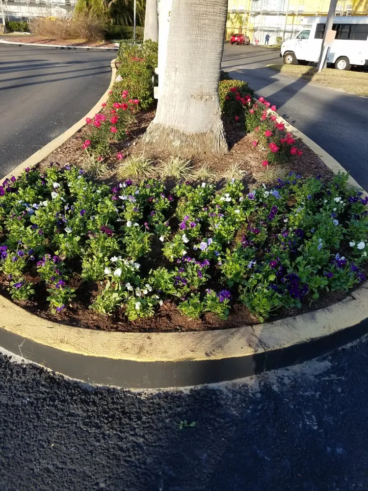 Local landscaping services for residential properties in Port Richey, FL by All Turf Lawn & Landscape Maintenance