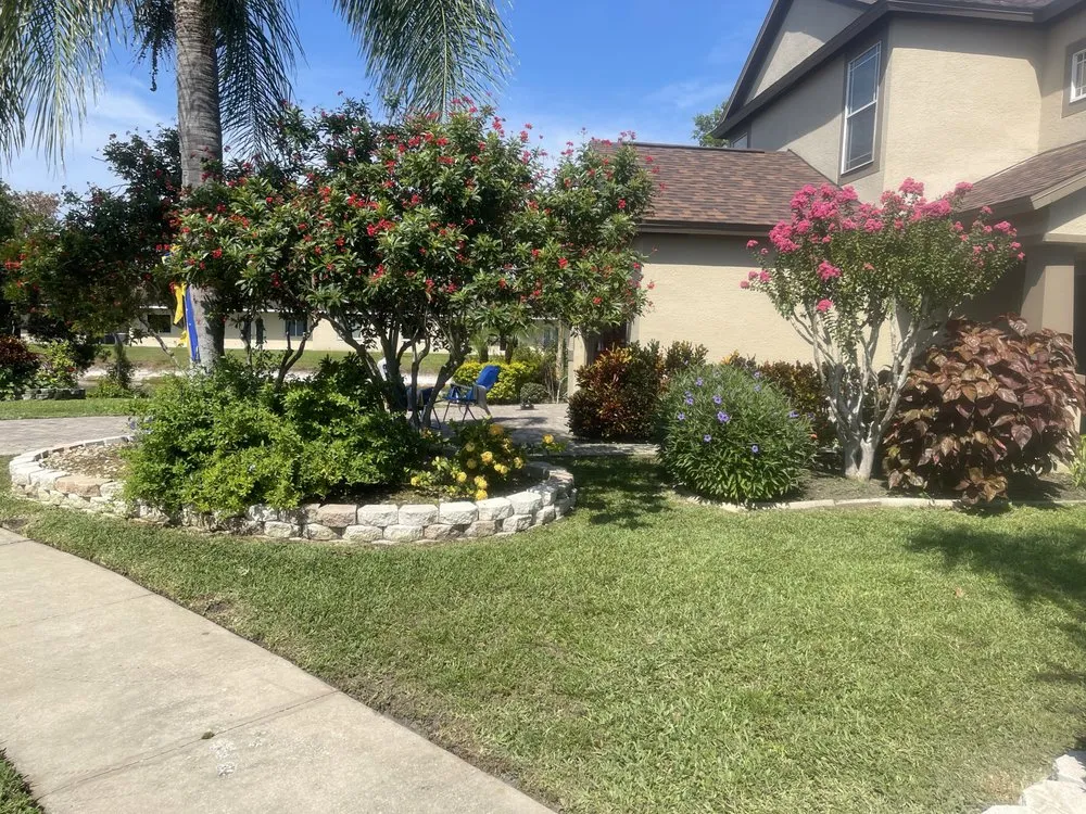 Custom lawn mowing service in Port Richey, FL by All Turf Lawn & Landscape Maintenance