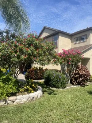 All Turf Lawn & Landscape Maintenance