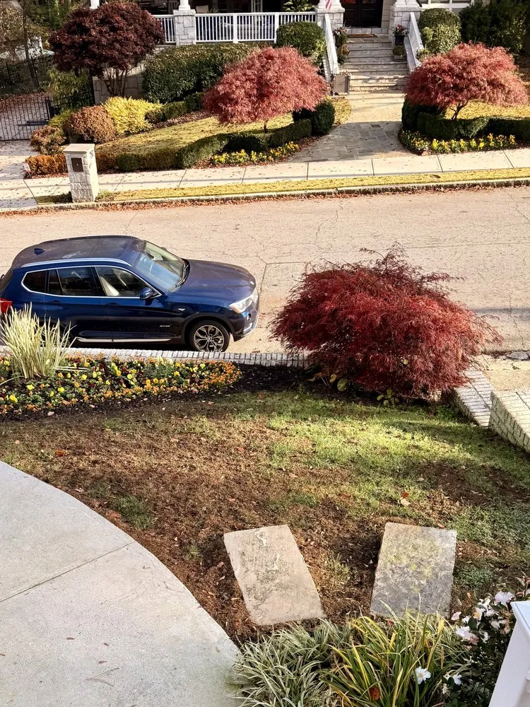 Expert yard cleanup service with custom design in Hiram, GA by All Turf Lawn Care