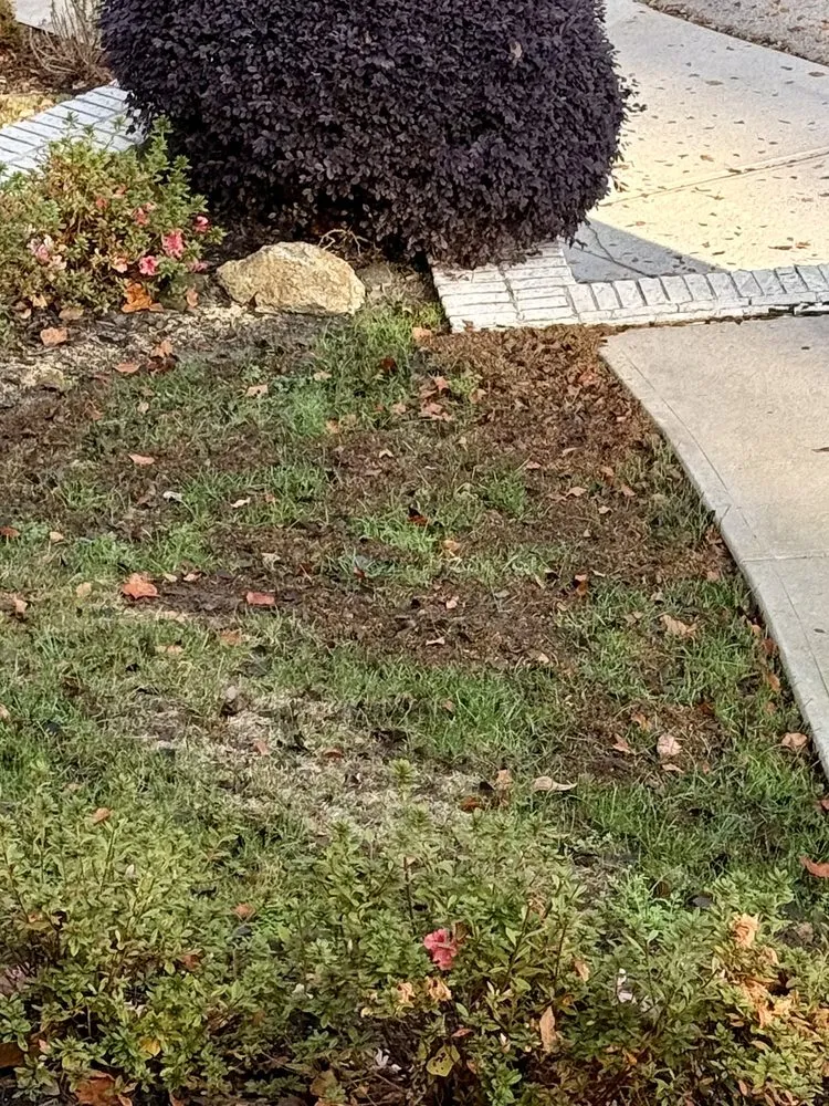 Affordable lawn mowing service in Hiram, GA - All Turf Lawn Care