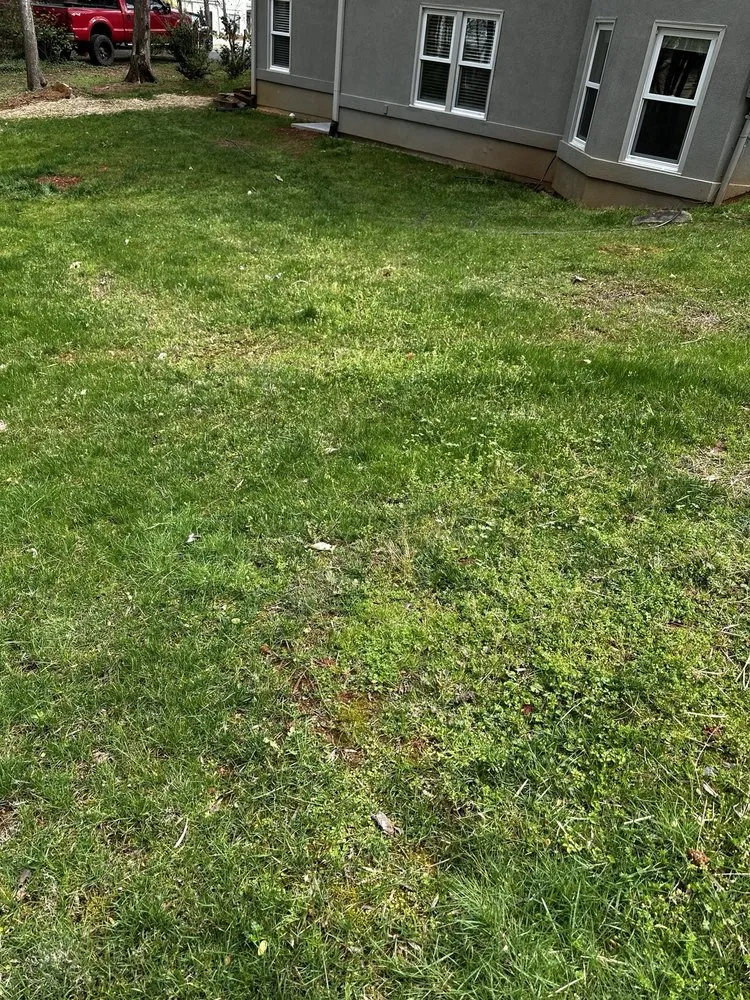 Expert yard maintenance in Suwanee, GA - All Turf Lawn Care