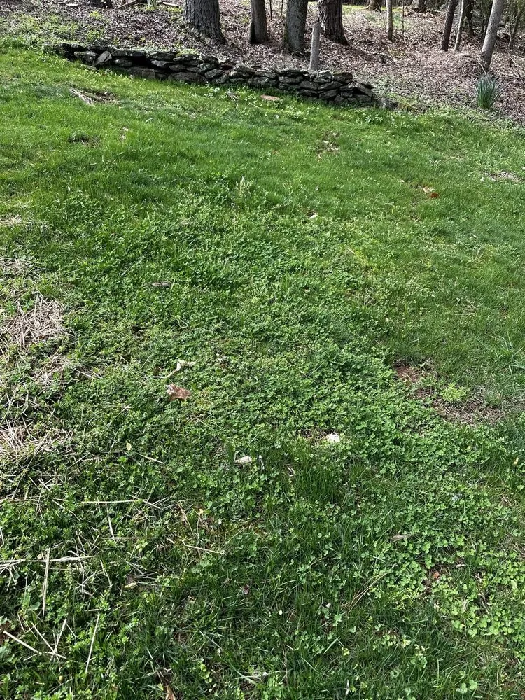 Reliable outdoor landscaping for residential properties in Suwanee, GA by All Turf Lawn Care