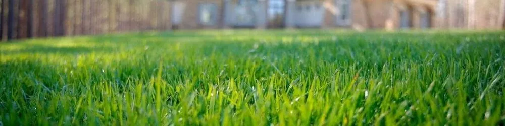 Expert landscape design for year-round maintenance across Suwanee, GA - All Turf Lawn Care