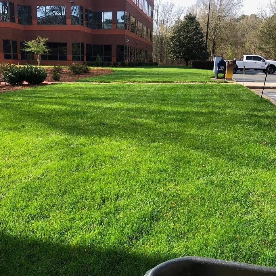 Local yard maintenance in Suwanee, GA - All Turf Lawn Care