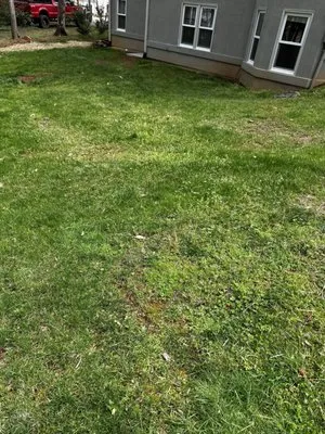 All Turf Lawn Care Logo