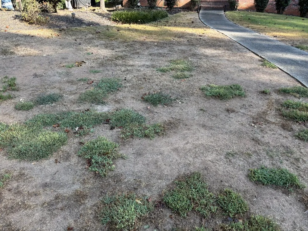 Affordable lawn care service in Loganville, GA - All Turf