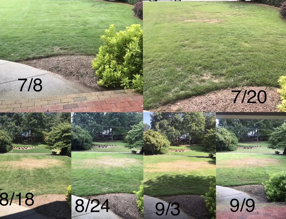 Top-rated landscape design with custom design in Loganville, GA by All Turf