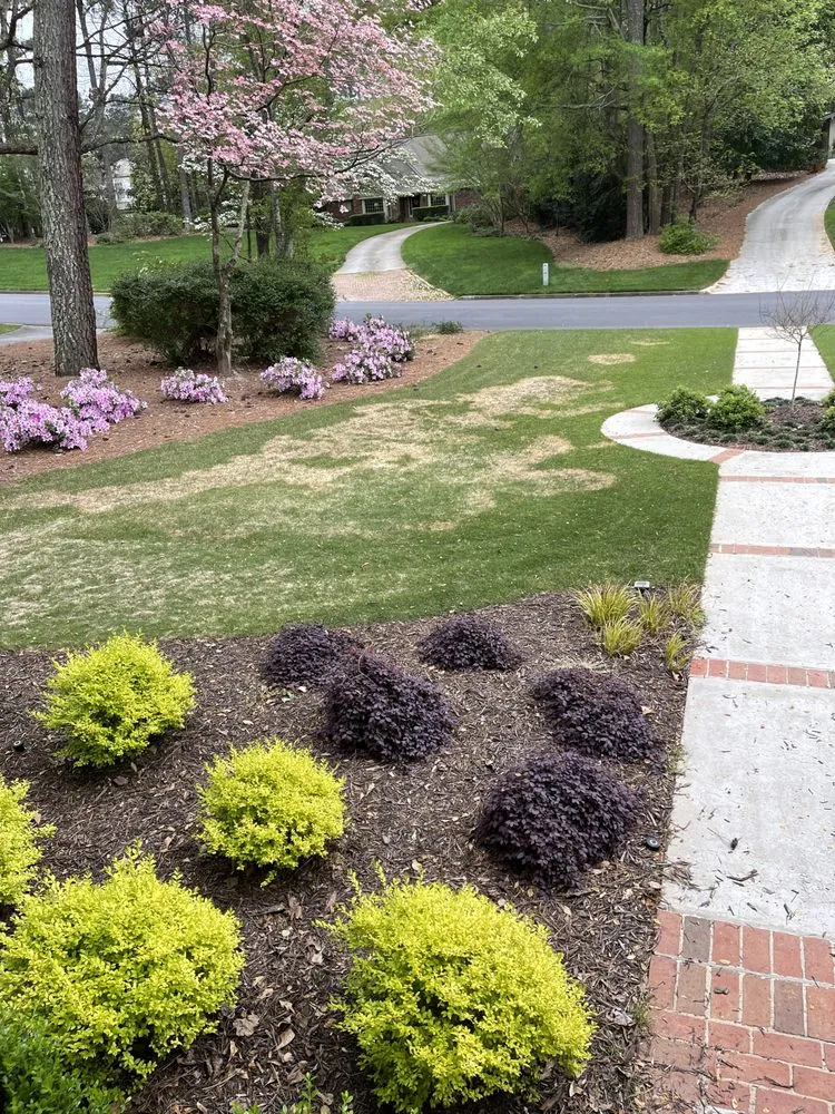 Affordable landscape design experts serving Loganville, GA - All Turf