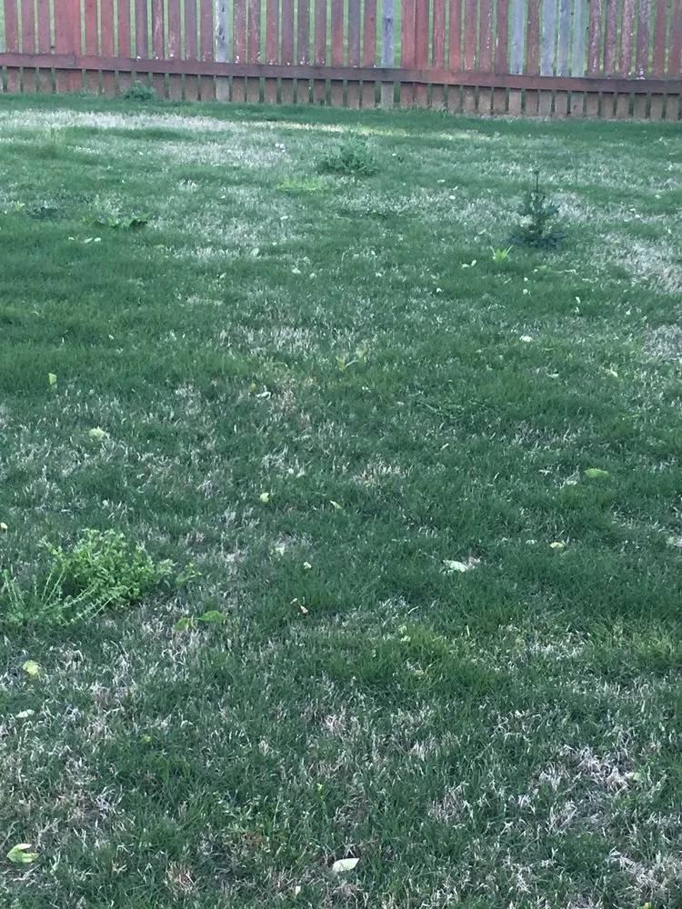 Professional yard maintenance near you across Loganville, GA - All Turf