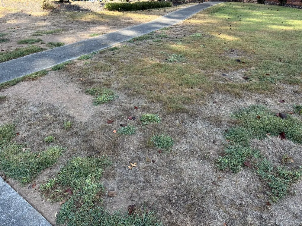 Professional yard cleanup service in Loganville, GA by All Turf