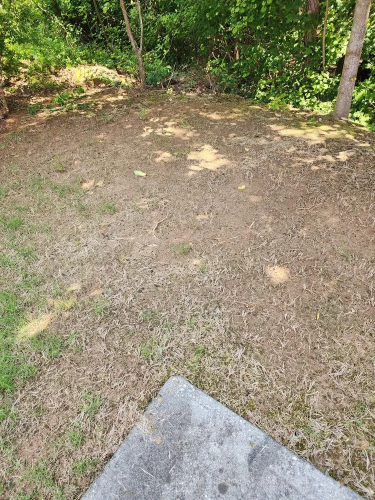 Trusted yard maintenance in Loganville, GA by All Turf