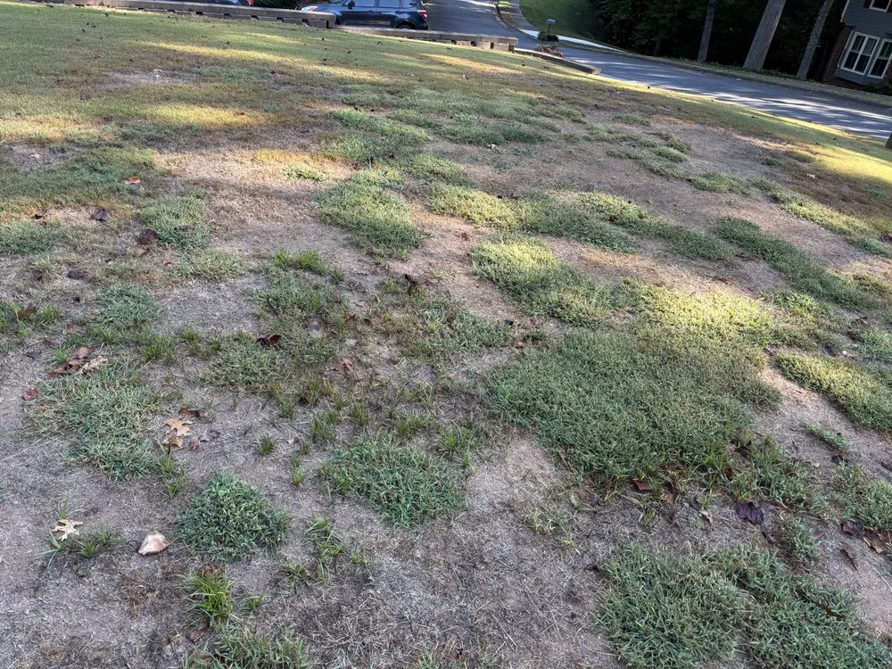 Affordable outdoor landscaping for homes across Loganville, GA - All Turf