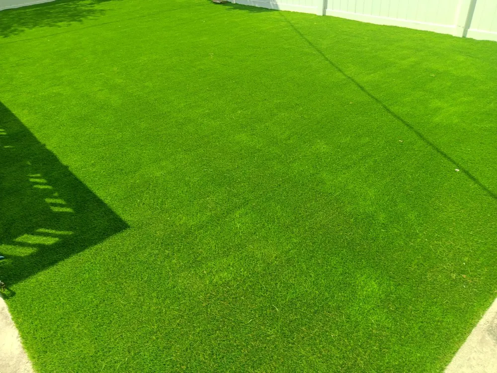 Reliable yard cleanup service near you across Chicago, IL - All Turfscape