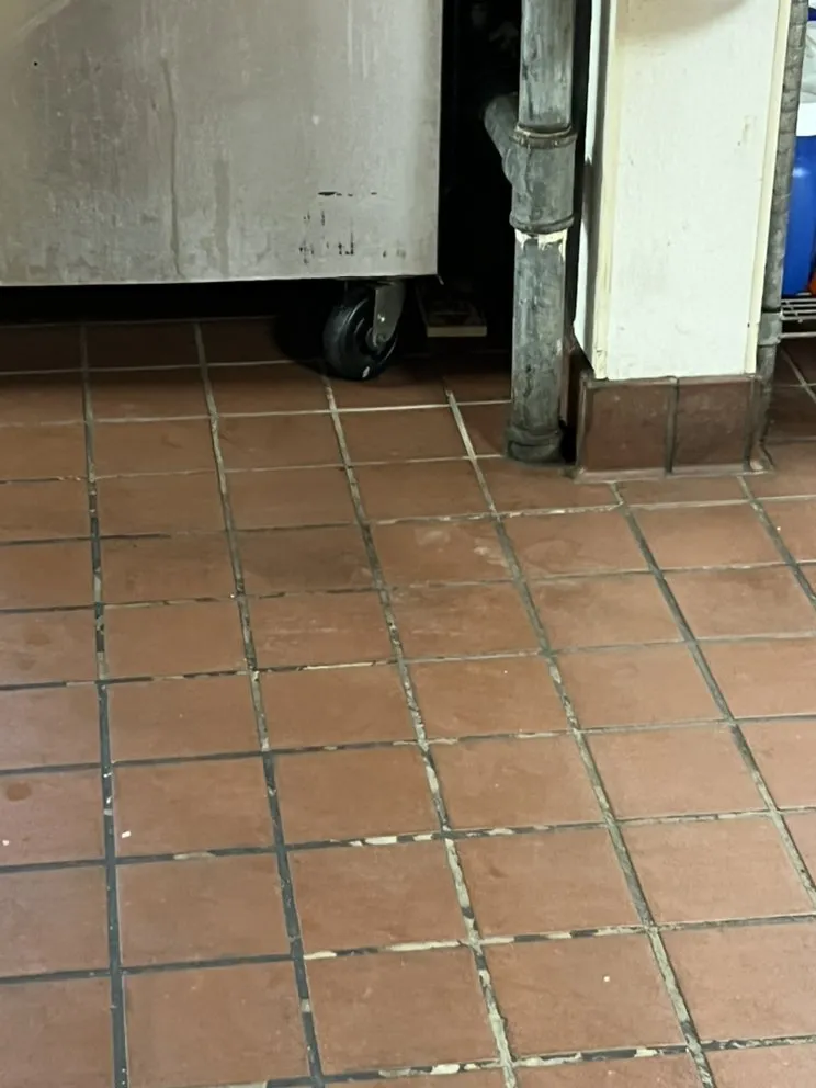 Reliable residential landscaping experts serving Riviera Beach, FL - All Type Cleaning Services