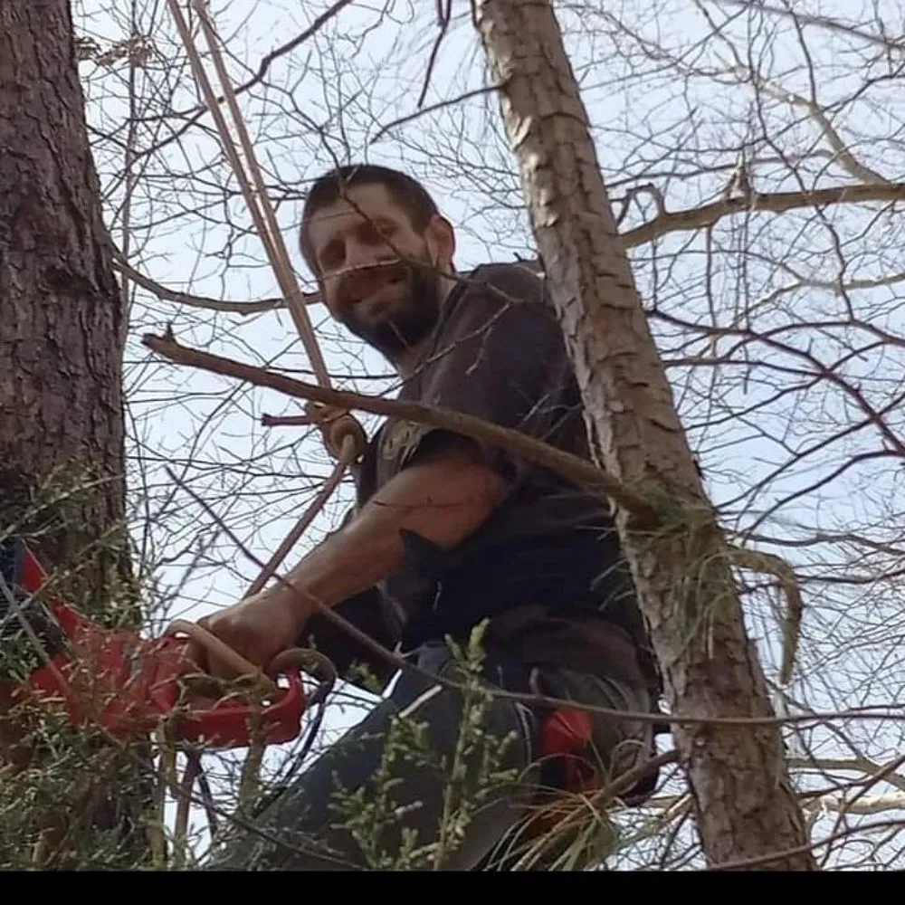 Custom lawn mowing service in Lexington, TN - All Types of Wood Work