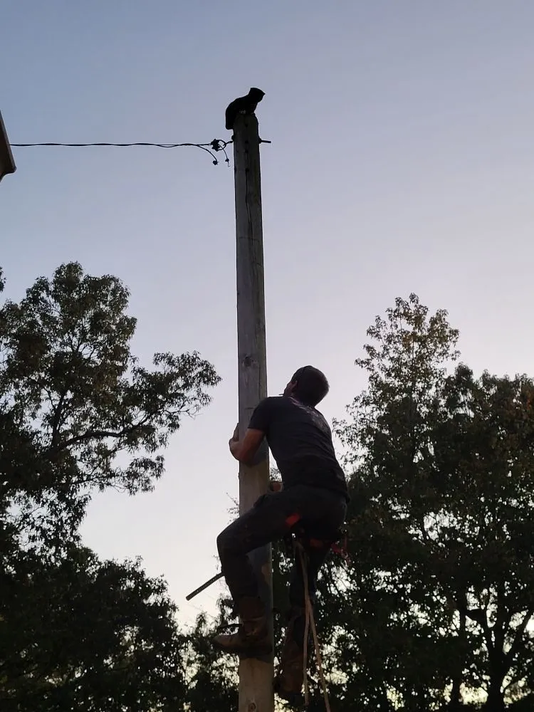 Local outdoor landscaping with custom design in Lexington, TN by All Types of Wood Work