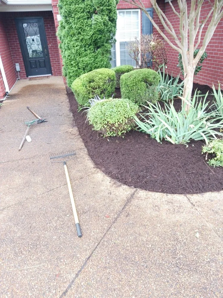 Professional yard maintenance in Lexington, TN - All Types of Wood Work