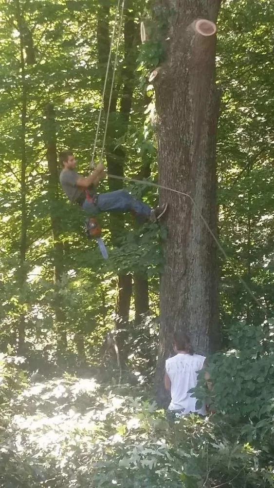 Expert garden landscaping experts serving Lexington, TN - All Types of Wood Work