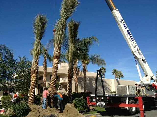 Local garden landscaping for beautiful yards across Indio, CA - All Valley Crane