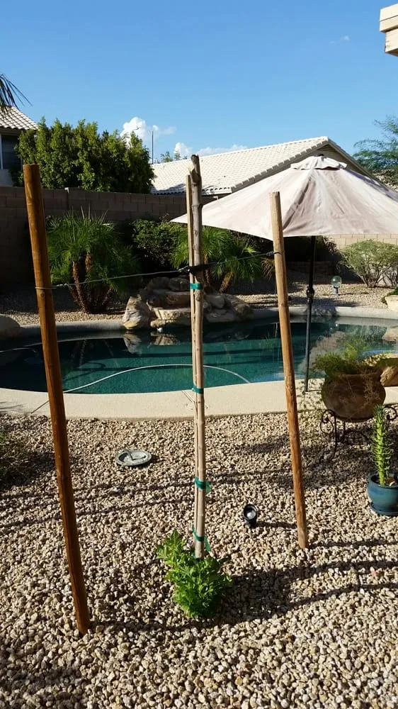 Custom residential landscaping experts serving Phoenix, AZ - All Valley Landscaping