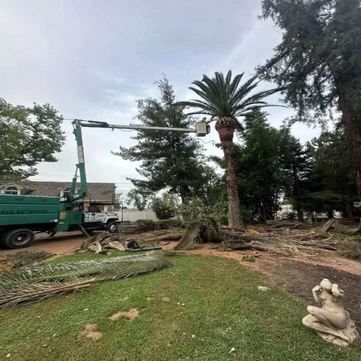 Reliable outdoor landscaping in Tulare, CA - All Valley Tree Service & Landscaping