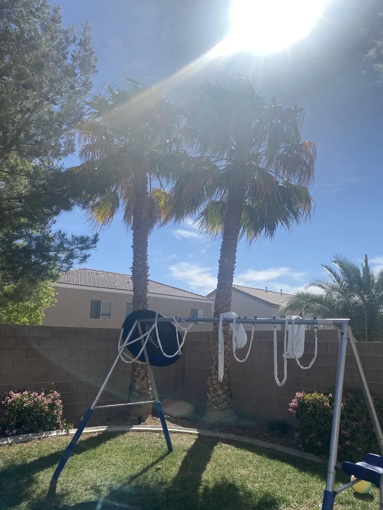 Expert lawn care service for beautiful yards in Henderson, NV by All Visions Landscape