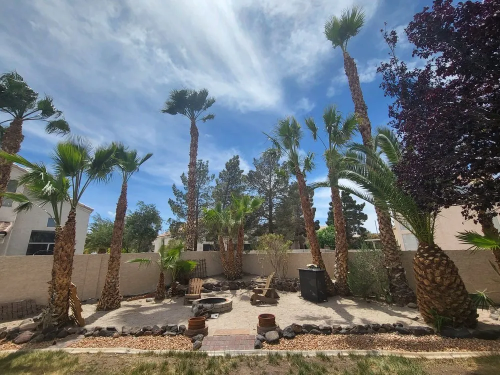 Expert lawn care service in Henderson, NV by All Visions Landscape