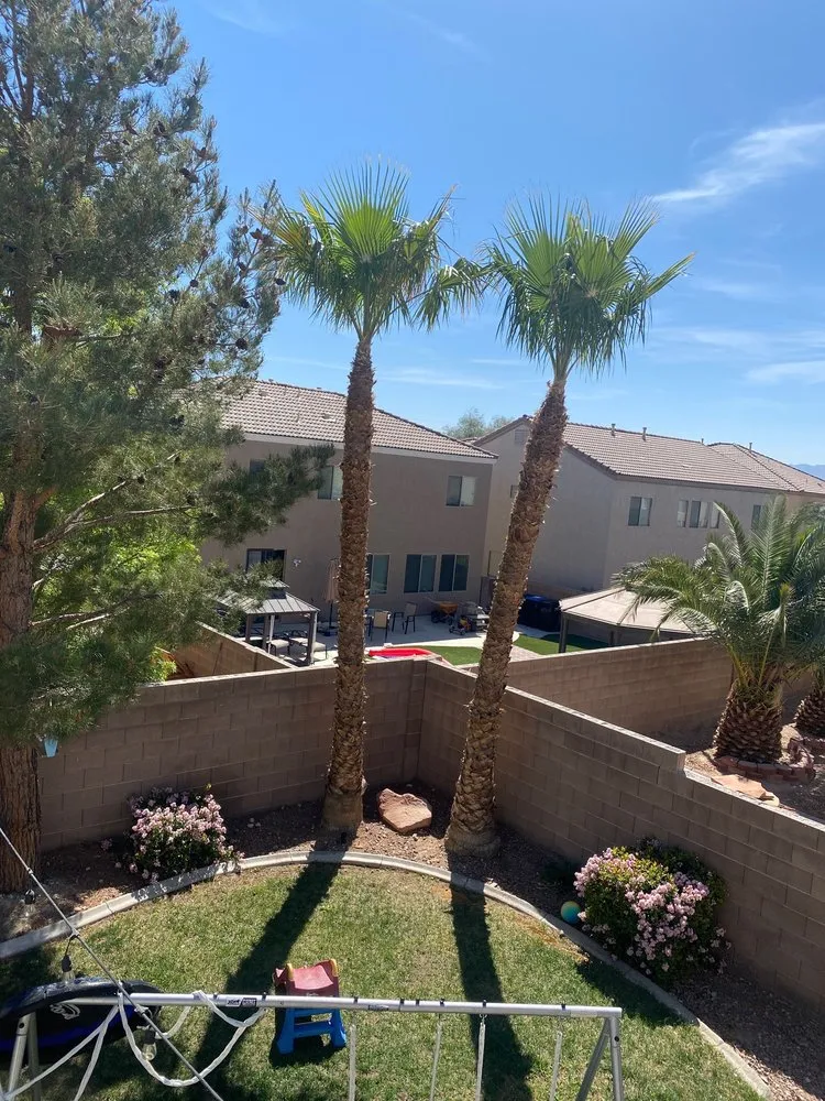 Reliable landscape design for homes in Henderson, NV by All Visions Landscape