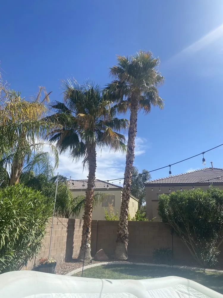 Trusted landscape design for homes across Henderson, NV - All Visions Landscape