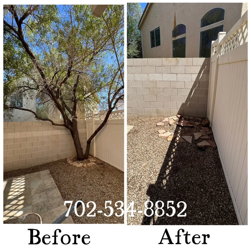 Local lawn mowing service for year-round maintenance in Henderson, NV by All Visions Landscape