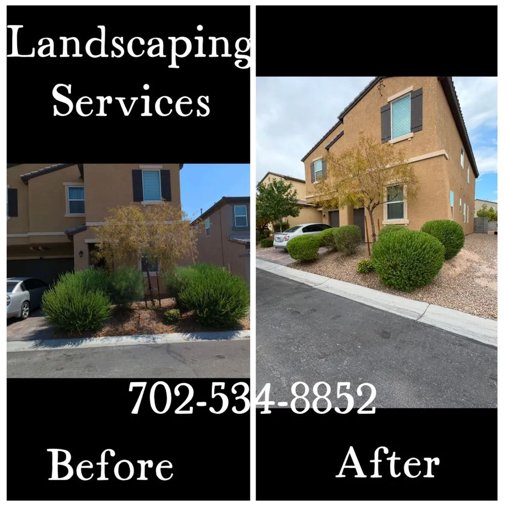 Trusted yard maintenance experts serving Henderson, NV - All Visions Landscape