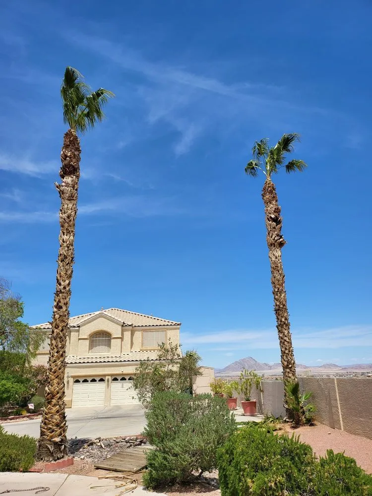 Expert yard maintenance for beautiful yards across Henderson, NV - All Visions Landscape