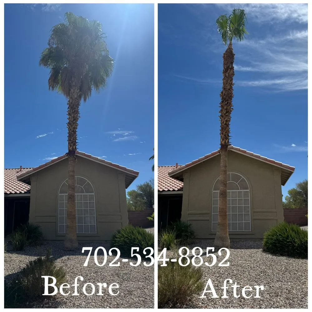 Professional outdoor landscaping for outdoor upgrades in Henderson, NV by All Visions Landscape