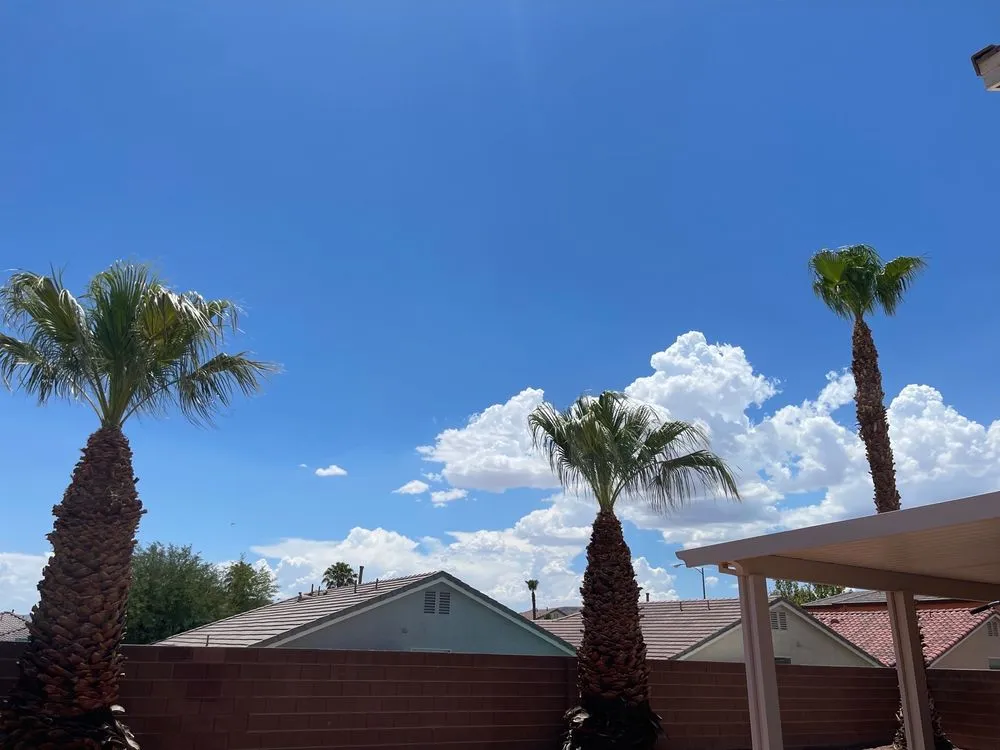 Trusted landscaping services for residential properties in Henderson, NV by All Visions Landscape