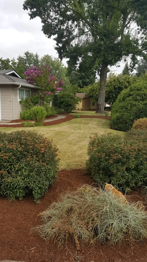 Expert yard cleanup service experts serving Lebanon, OR - All Weather Landscape Maintance