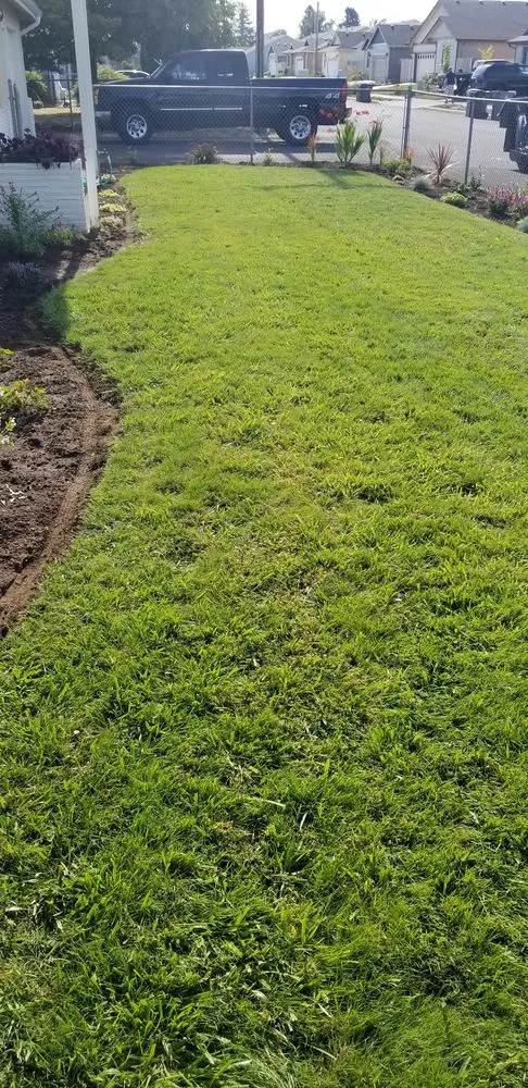 Trusted lawn mowing service experts serving Lebanon, OR - All Weather Landscape Maintance
