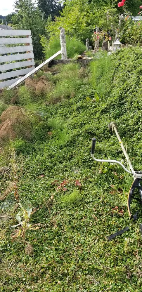 Local outdoor landscaping for homes in Lebanon, OR by All Weather Landscape Maintance