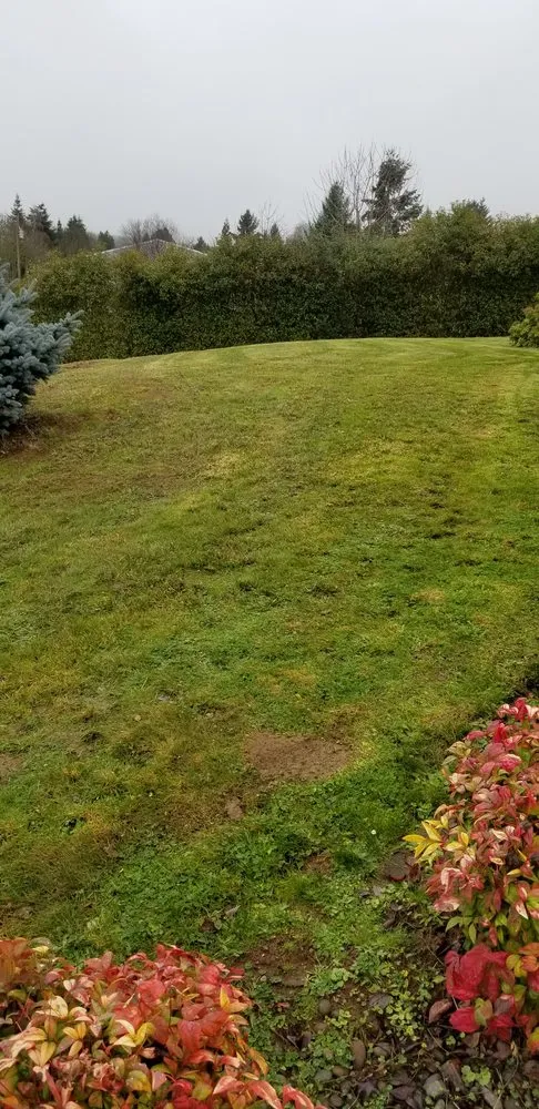 Reliable landscape design experts serving Lebanon, OR - All Weather Landscape Maintance