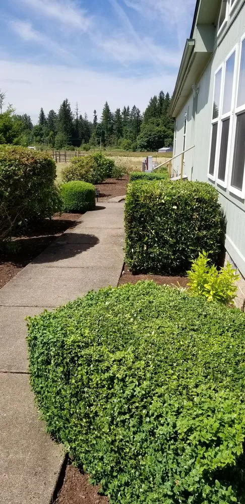 Top-rated outdoor landscaping for year-round maintenance across Lebanon, OR - All Weather Landscape Maintance