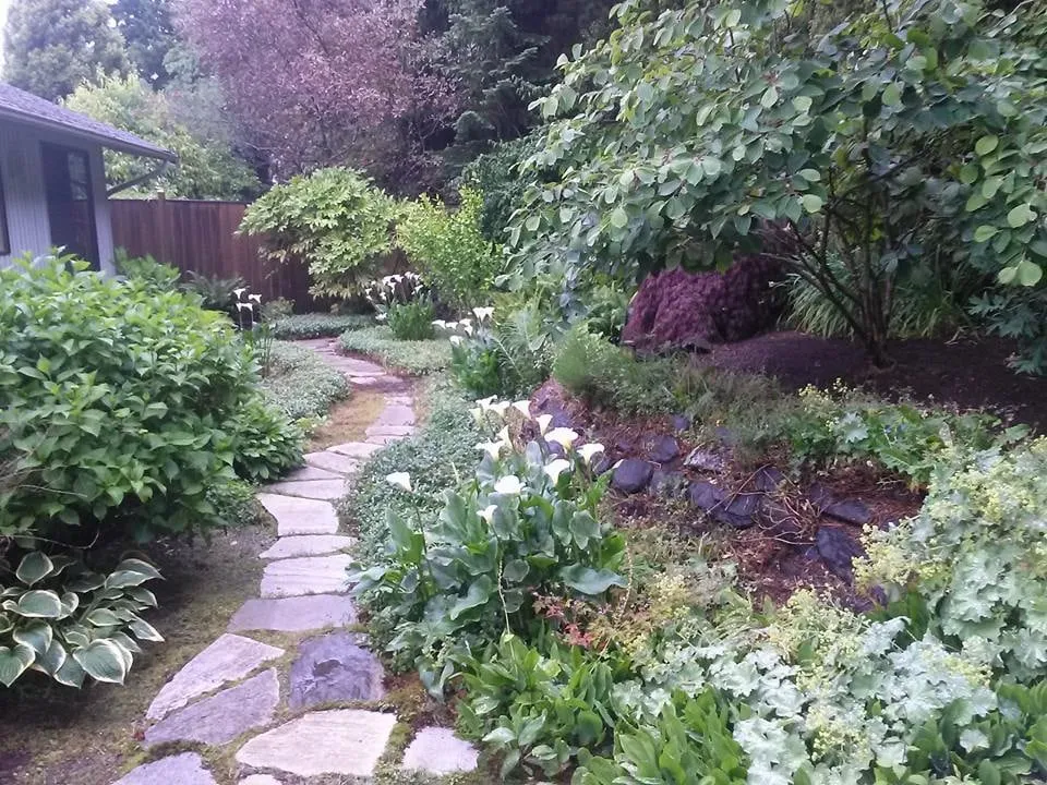 Trusted landscape design experts serving Bothell, WA - All Weather Landscaping