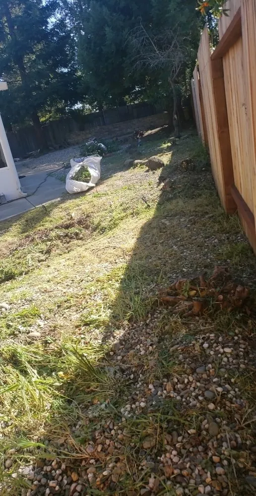 Local yard maintenance experts serving Citrus Heights, CA - All Weather Landscaping